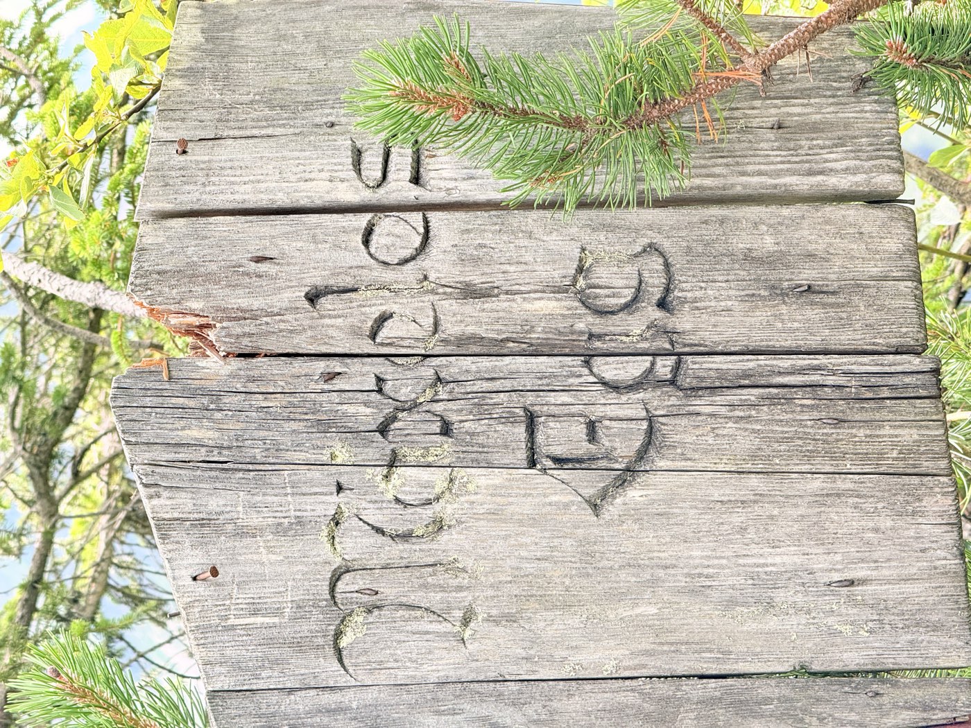 Weathered wooden sign with Mäxeles Egg carved into it