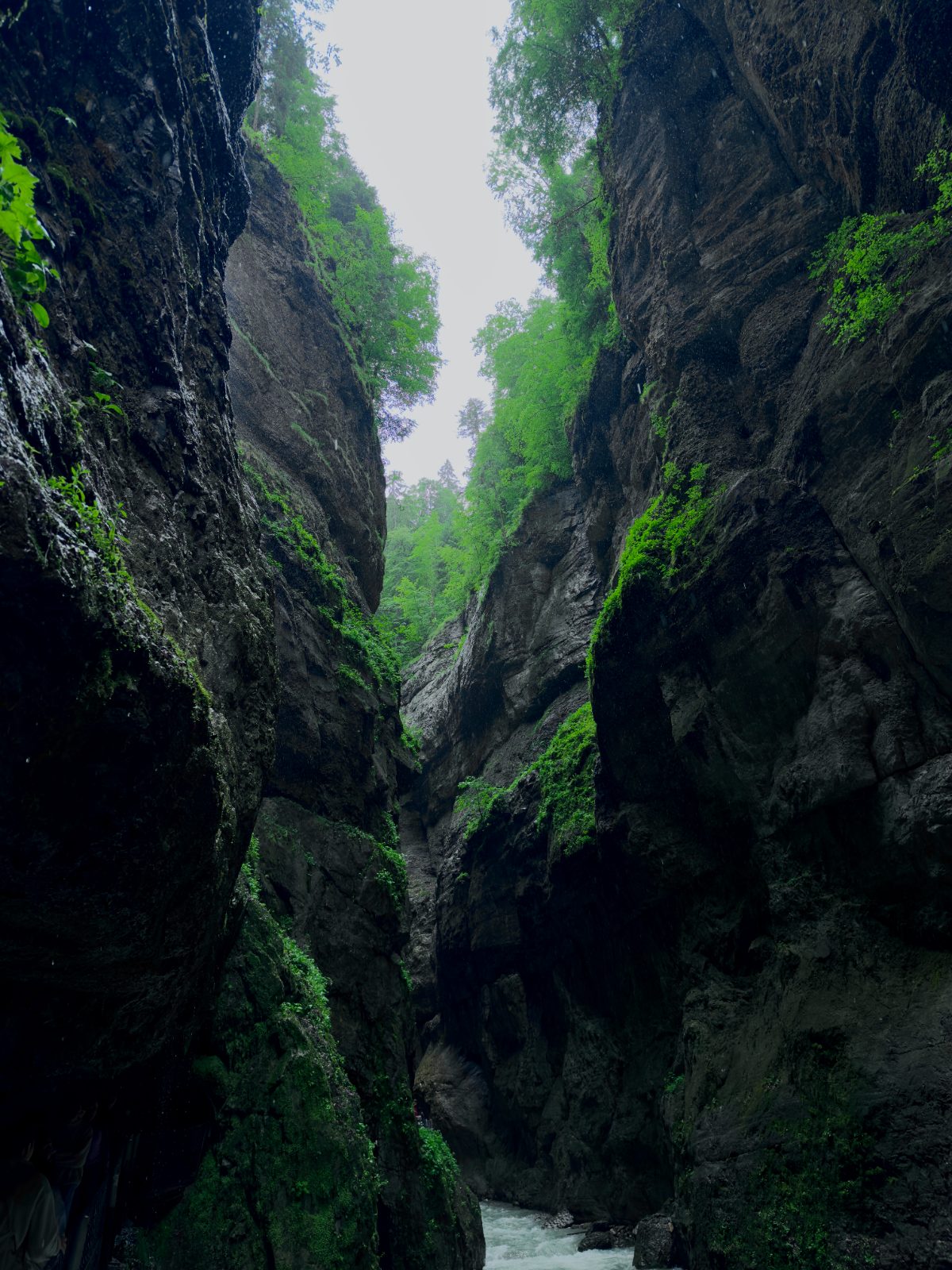 Narrow gorge walls closing in above the path