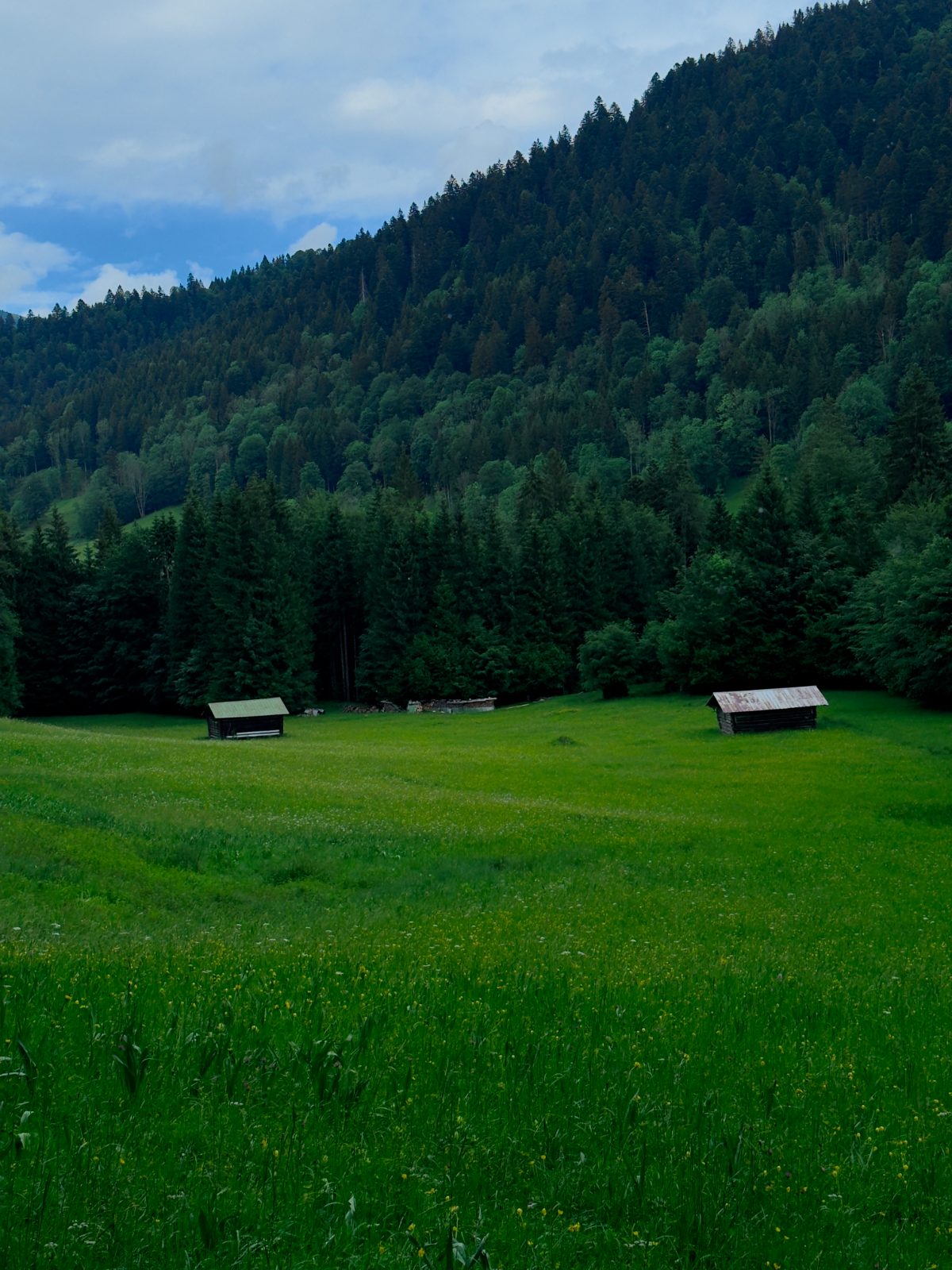 Green meadows and huts above the gorge