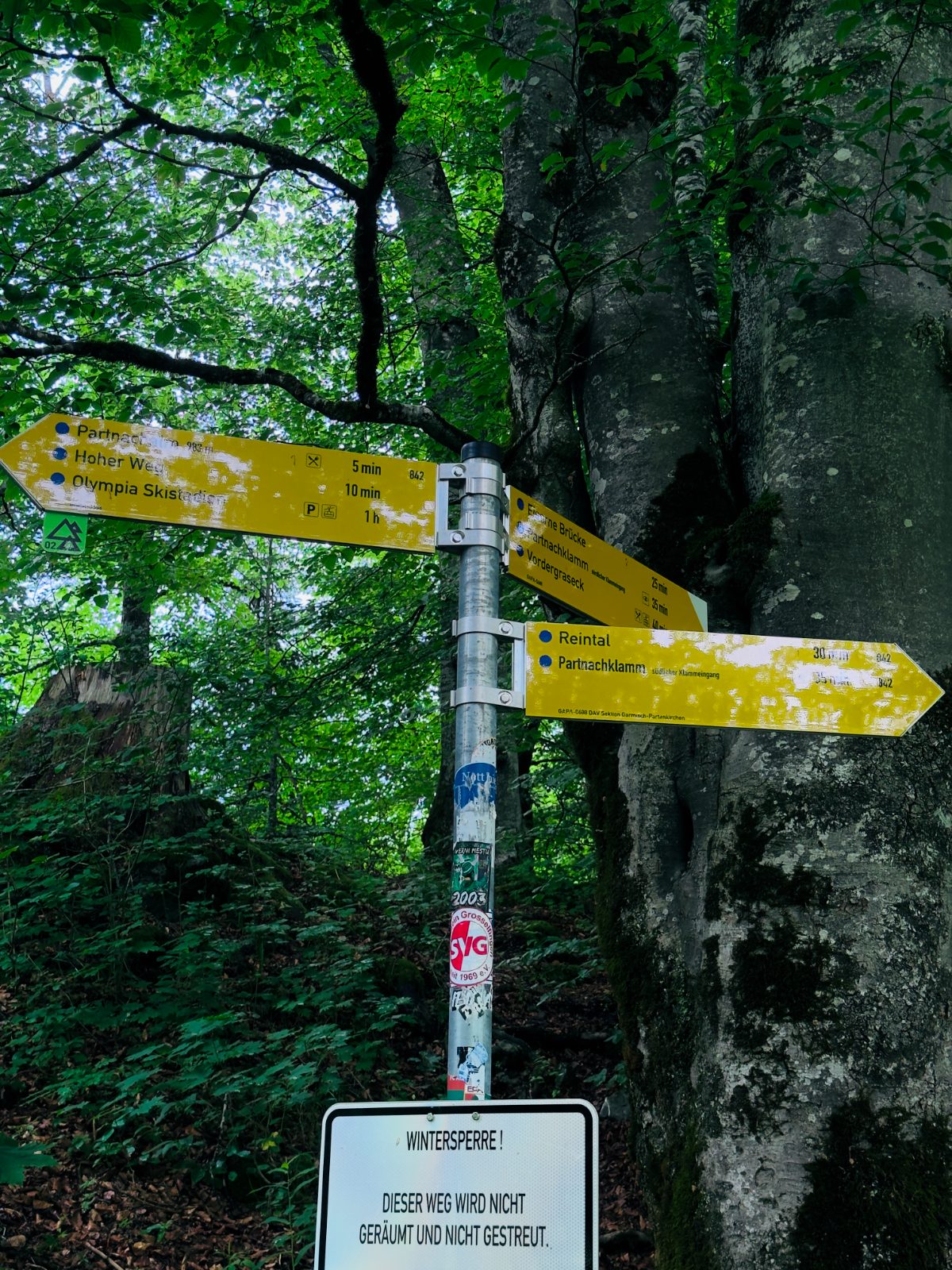 Yellow trail signposts pointing in several directions