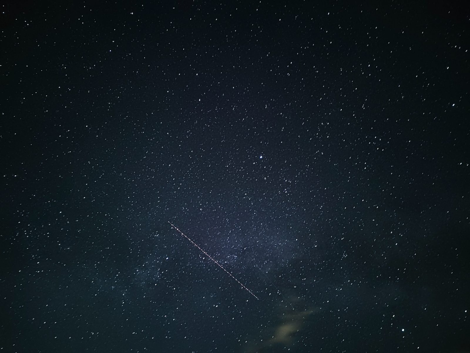 Milky star field above silhouetted trees